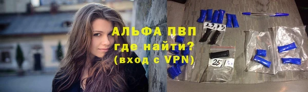 прущие грибы Кукмор