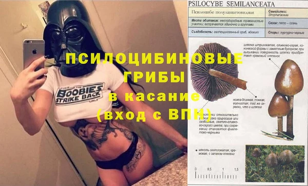 прущие грибы Кукмор