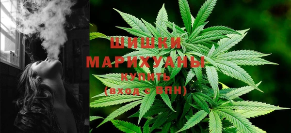 прущие грибы Кукмор