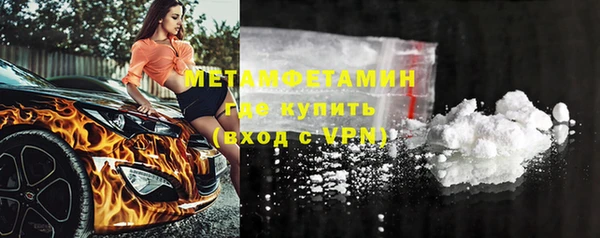 прущие грибы Кукмор