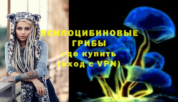 прущие грибы Кукмор