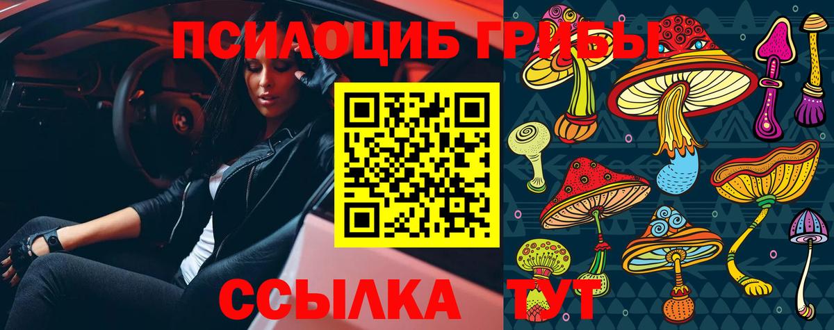 Псилоцибиновые грибы MAGIC MUSHROOMS  Вход с VPN  Джанкой 