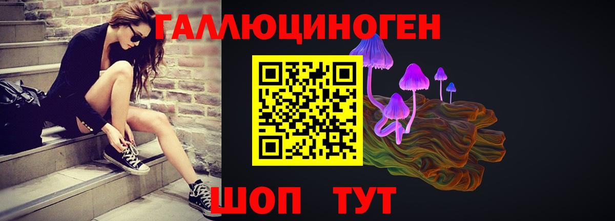 Галлюциногенные грибы GOLDEN TEACHER Джанкой